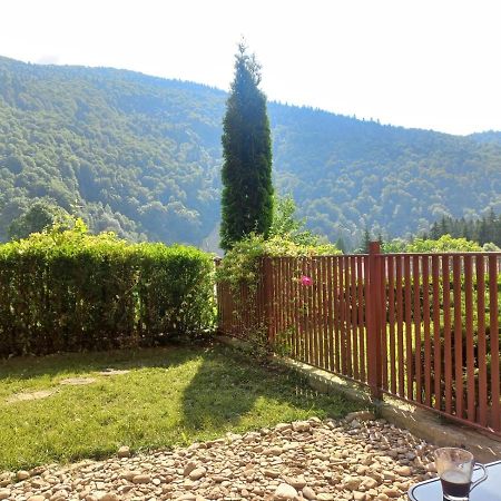 Apartmán Belleview Garden Studio Sinaia Exteriér fotografie