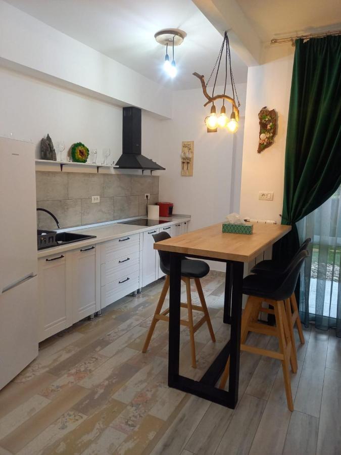 Apartmán Belleview Garden Studio Sinaia Exteriér fotografie