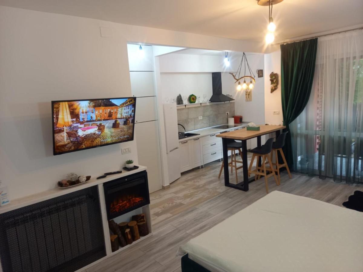 Apartmán Belleview Garden Studio Sinaia Exteriér fotografie