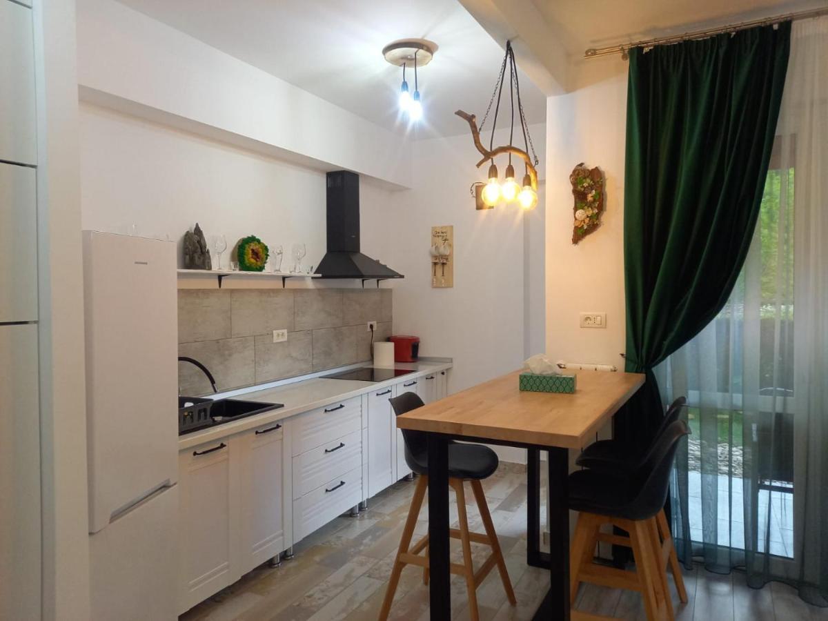 Apartmán Belleview Garden Studio Sinaia Exteriér fotografie