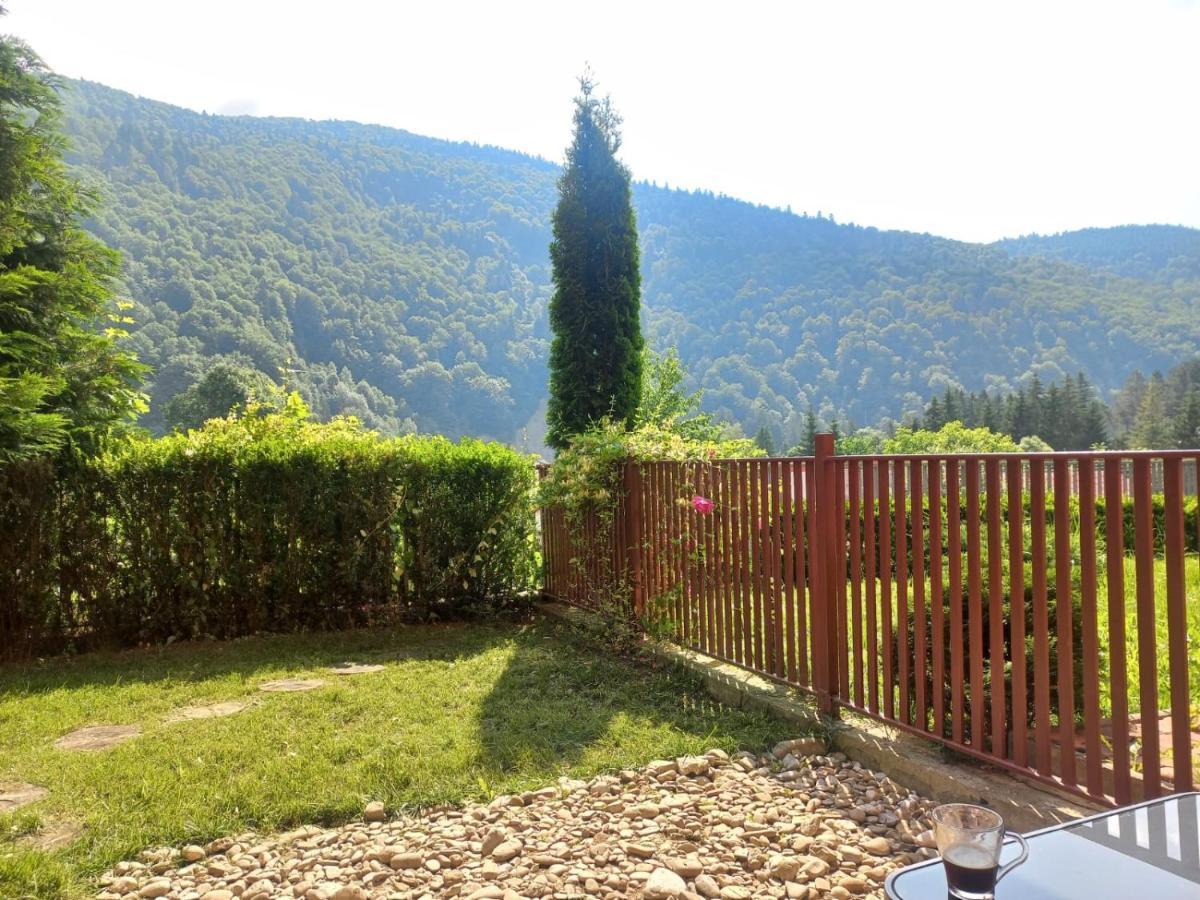 Apartmán Belleview Garden Studio Sinaia Exteriér fotografie